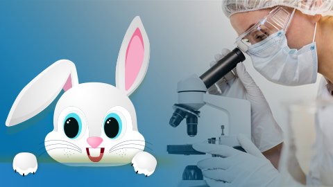 Deney Hayvanları Kullanım Sertifikası Eğitim Programı – XXI (Fare, Rat ve Tavşan için)