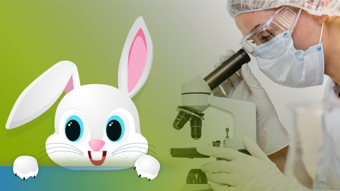 Deney Hayvanları Kullanım Sertifikası Eğitim Programı – XXII (Fare, Rat ve Tavşan için)
